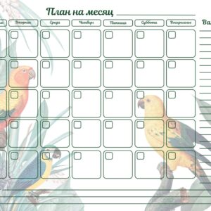 Магнітний планер A3 План на місяць Папуга рус