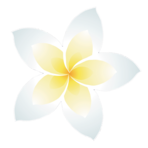 Магніт на авто Квітка моной де таїті 150в*150ш